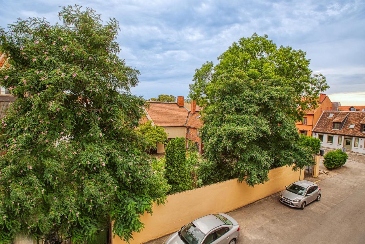 White Lily Apartment Klaipėda Eksteriør billede